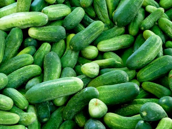 https://farmorganic.net/wp-content/uploads/2023/07/cucumber-farming.jpg